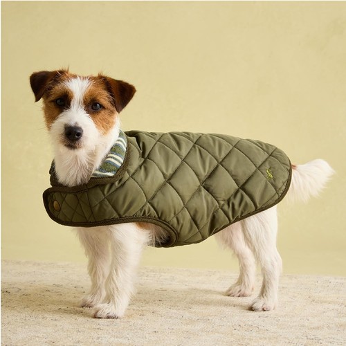Rosewood joules khaki - x,